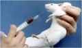 דו"ח הניסויים בבעלי חיים לשנת 2012